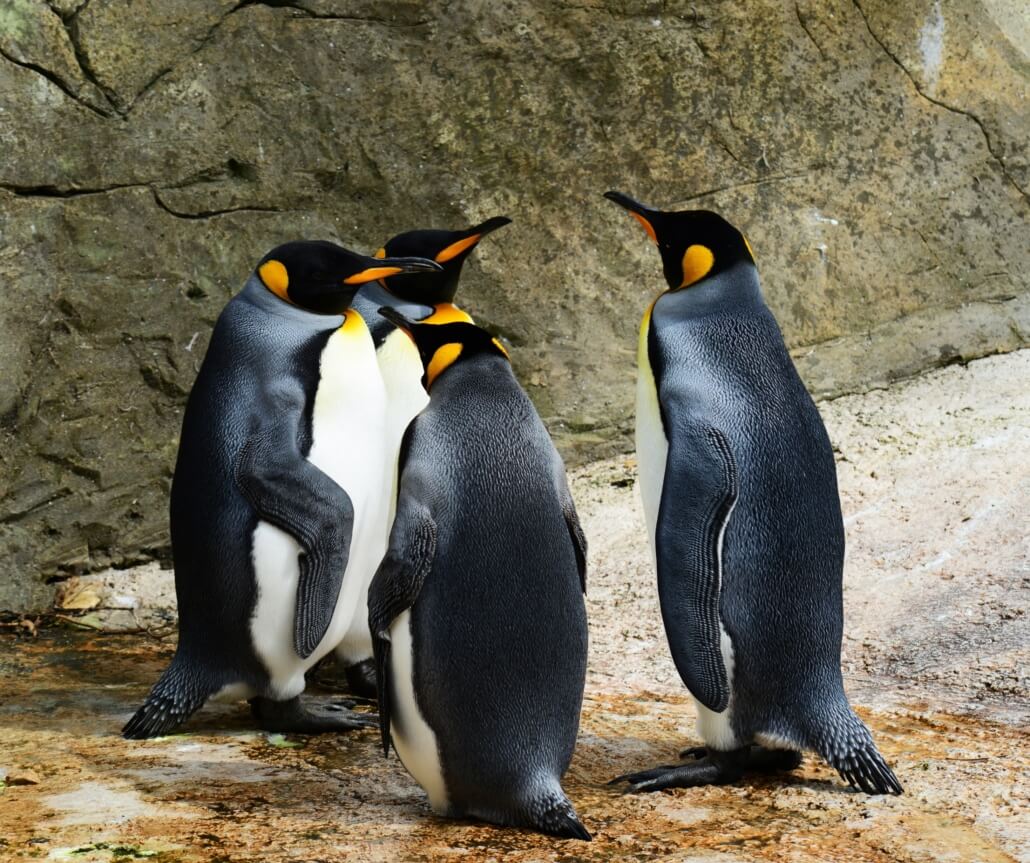 Allwetterzoo Münster