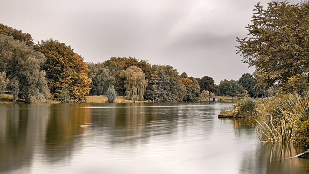 Münster Pluggendorf