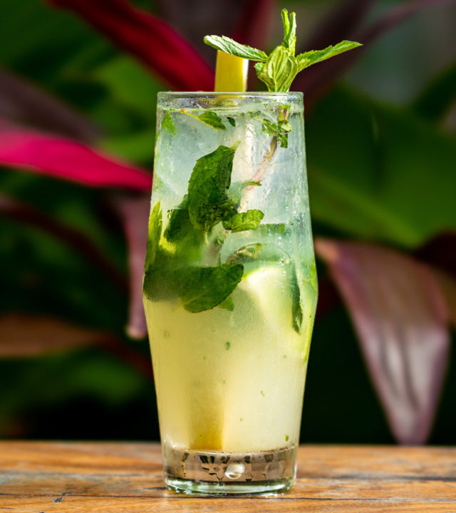 Glass of mojito cocktail with mint leaves and ice on a wooden surface with blurred green and red foliage background.