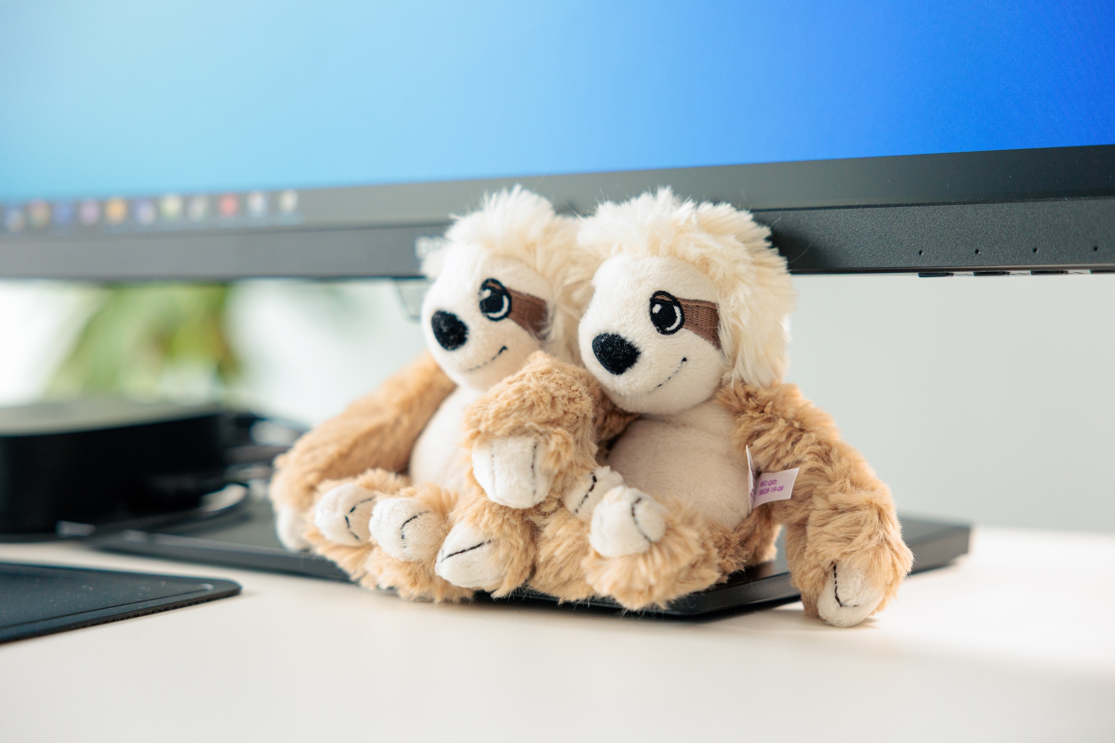 Collage mit 10 Bildern: Mitarbeiterinnen und Mitarbeiter der Kanzlei whg – Porträts, Gespräche und Alltagsszenen im Team.