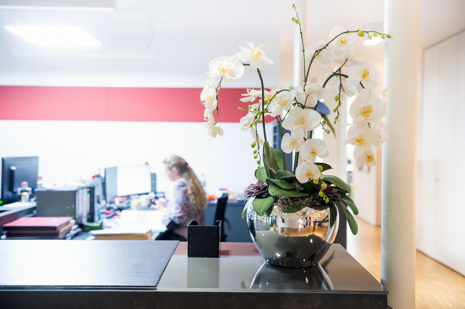 Arbeitsplatz mit Schreibtisch und Orchidee vor roter Wand