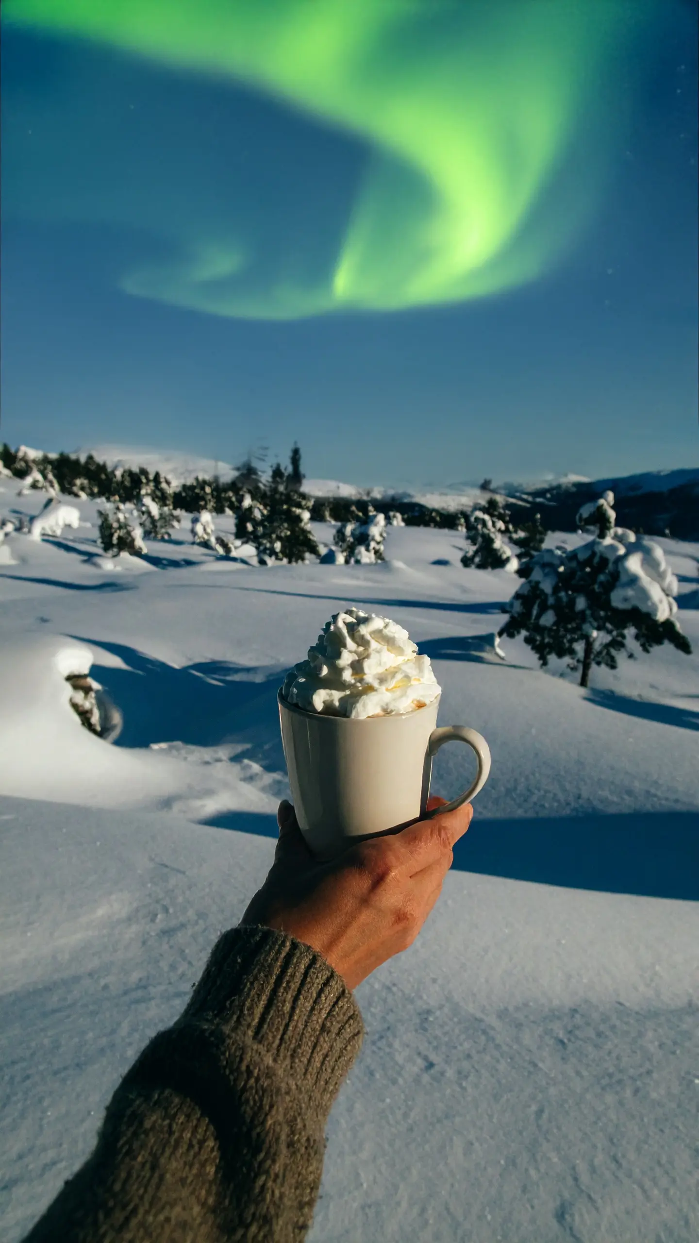En kopp med varmchoklad, toppad med grädde, placerad i en blå sammetssoffa