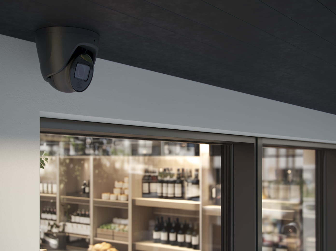 Professional liquor store security system with video surveillance, intrusion detection, and visible camera protection
