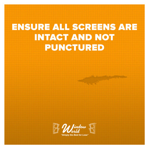 Ensure All Screens Are Intact And Not Punctured