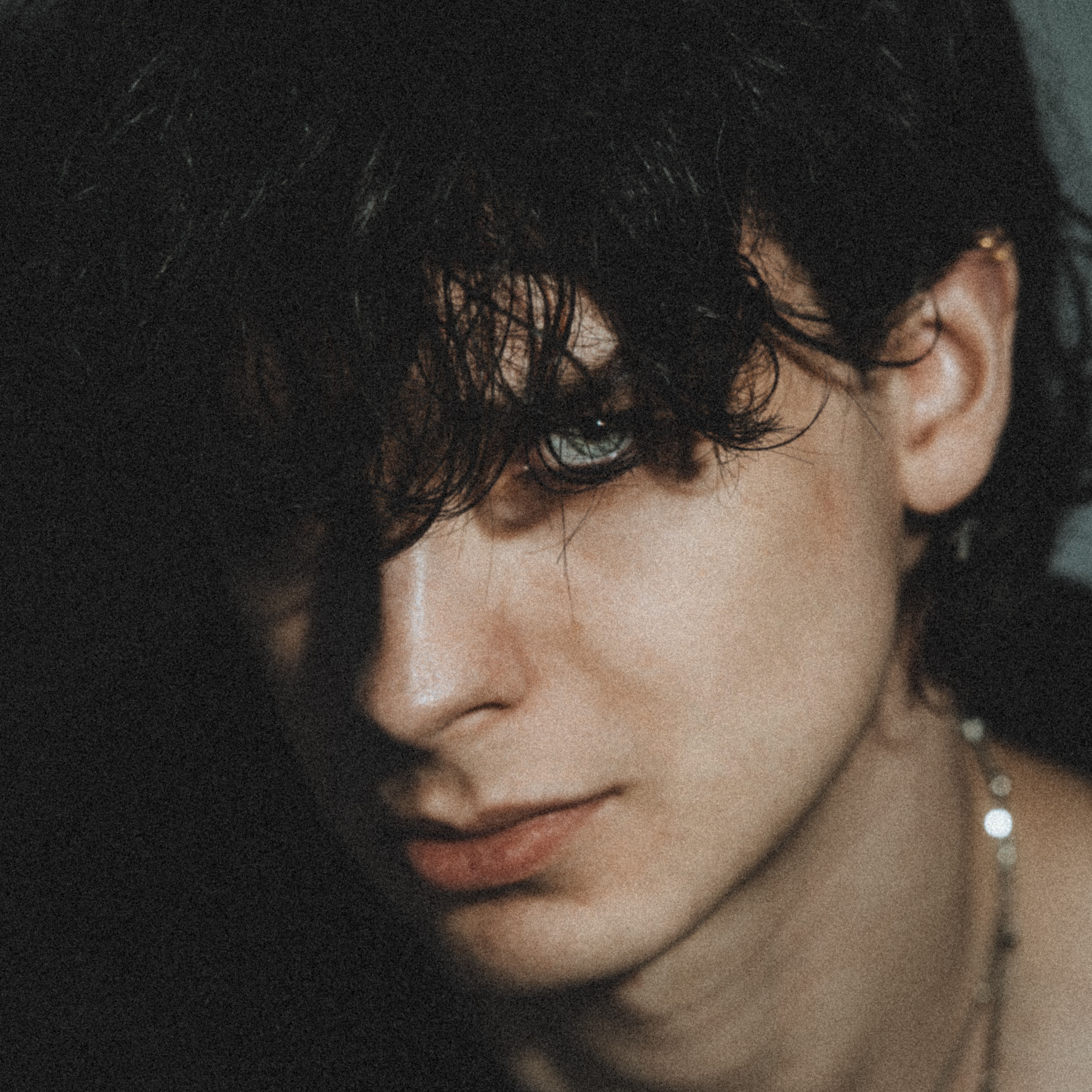 [background image] image of concert venue (for a musician & band)