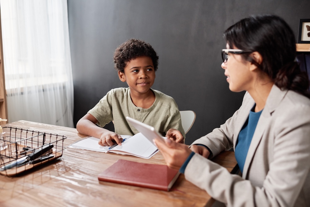 What is the role of an Amicus Attorney?