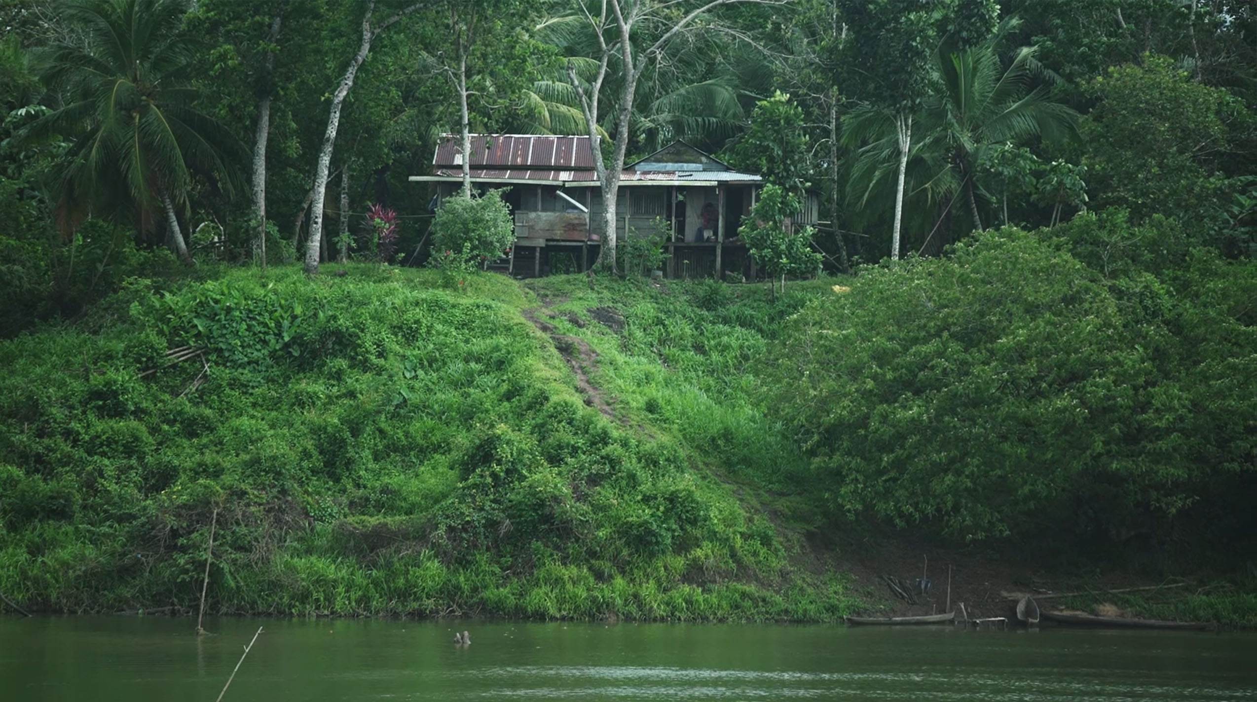 A house on a green riverbank in the jungle