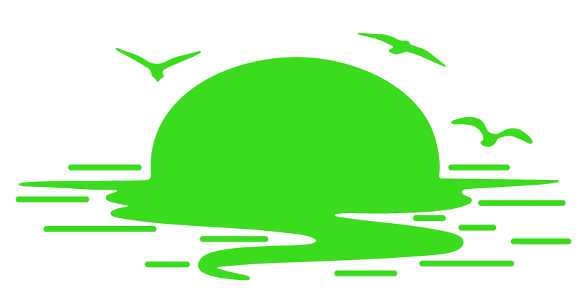 Green graphic of a setting sun over water with three flying birds.