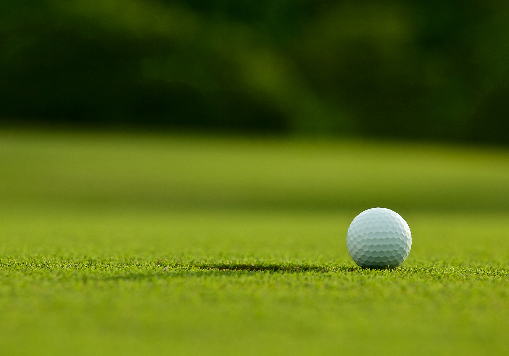 Join Membership Image