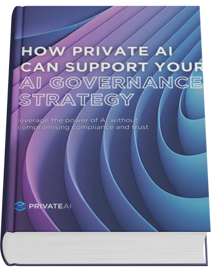 Private AI & AI Governance Strategy