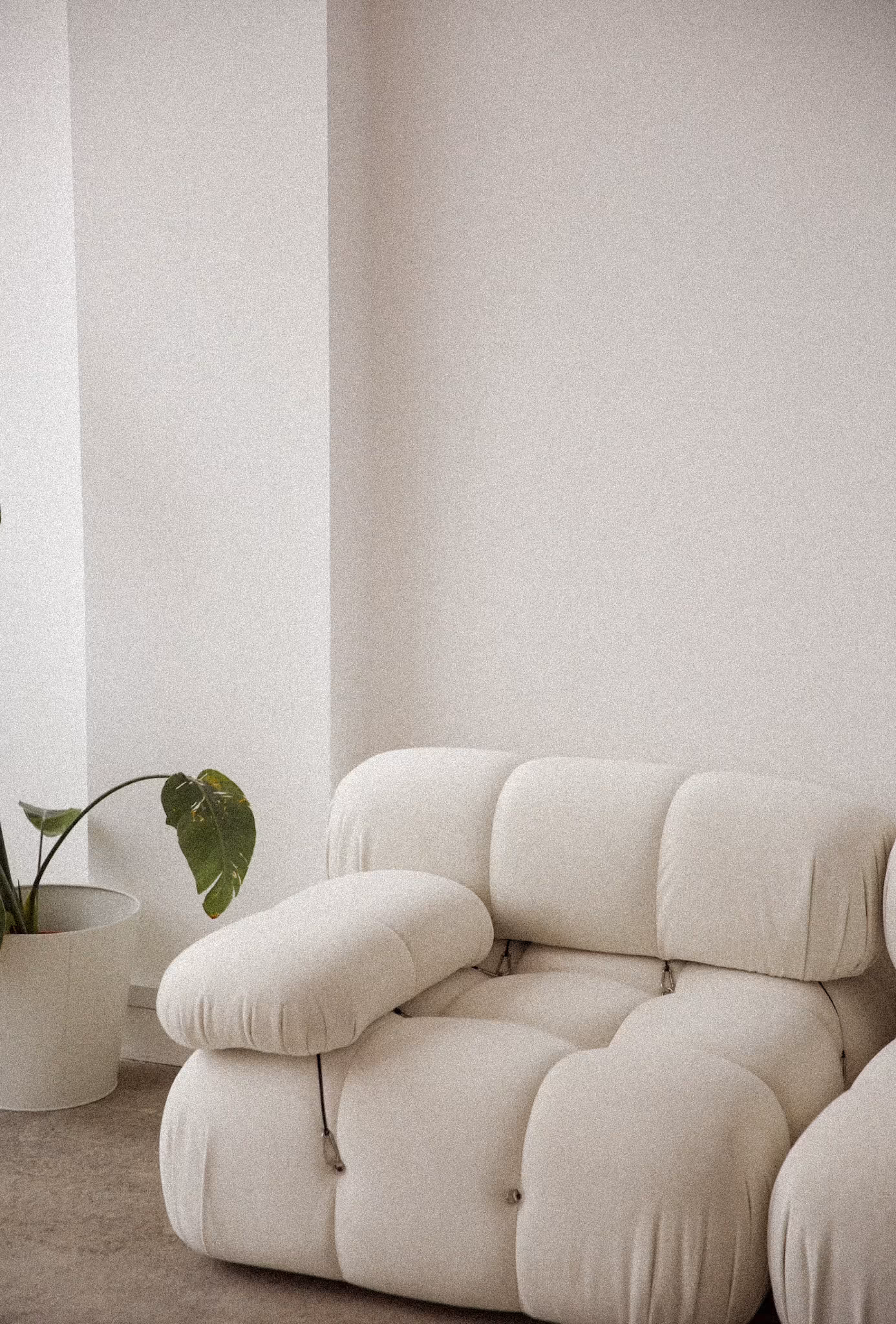 Weiches, gepolstertes weißes Sofa neben einem weißen Blumentopf mit einer Pflanze in einem minimalistisch gestalteten Raum.