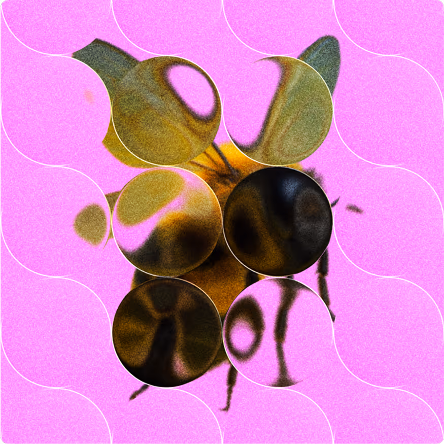 Abstracted close-up of a bee on pink background with glass orb overlay.