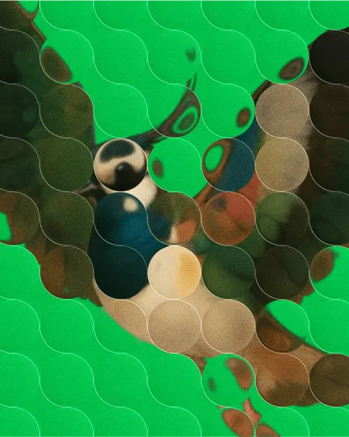 Abstracted bird on green background with glass orb overlay."