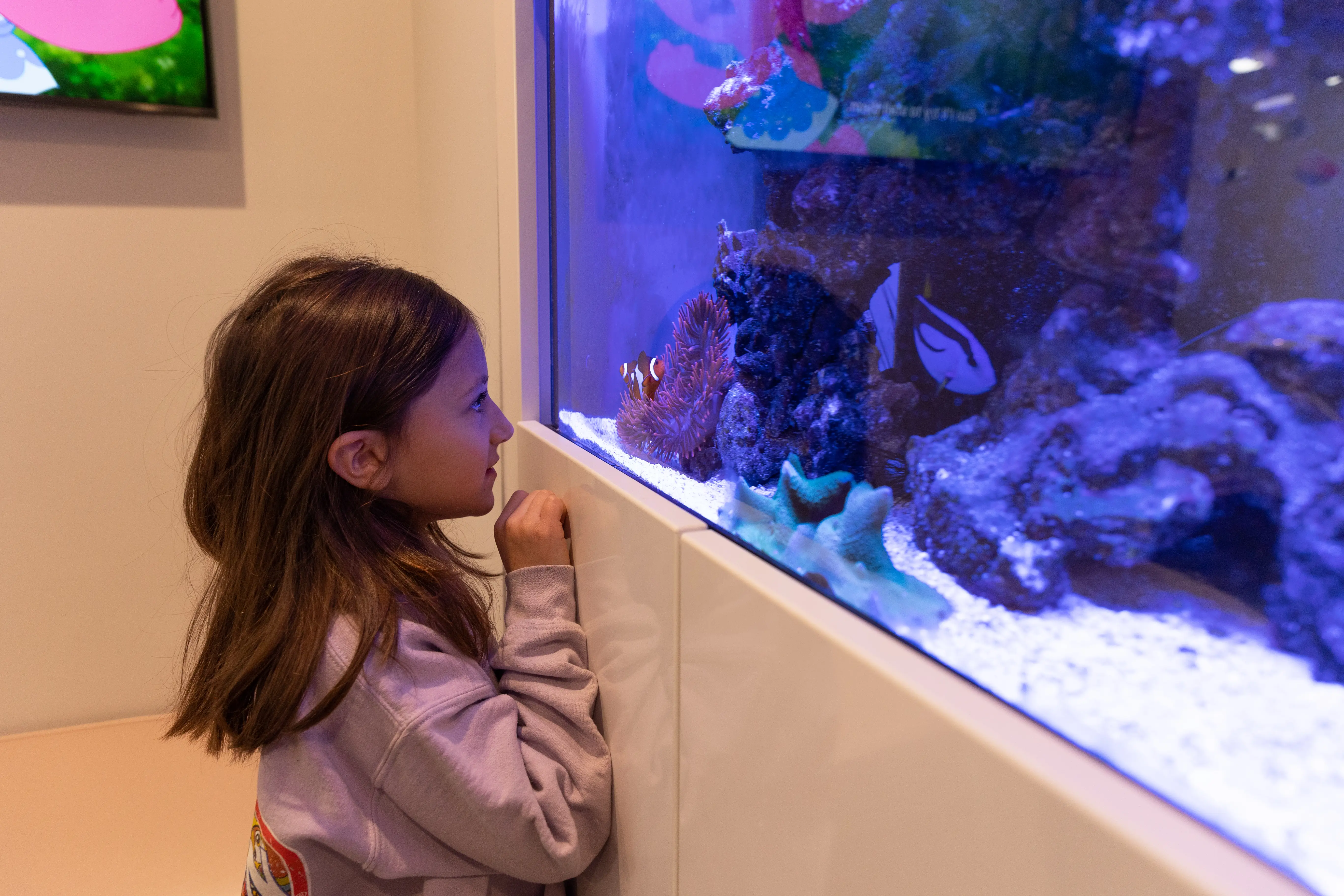 a kid at Bethesda Chevy Chase Pediatric Dentistry