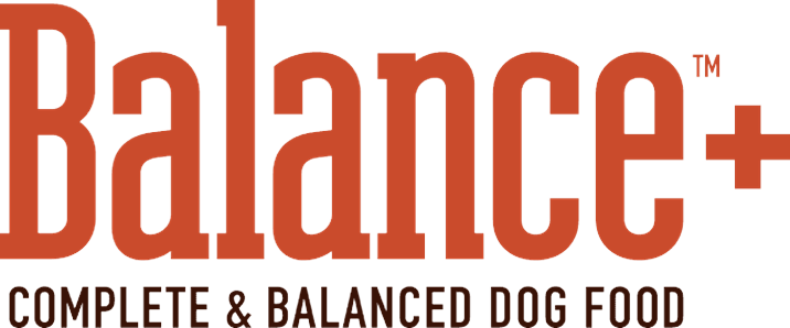 Lance