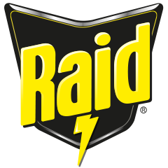 Raid