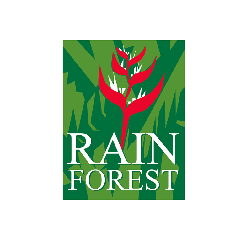 Rain Forest