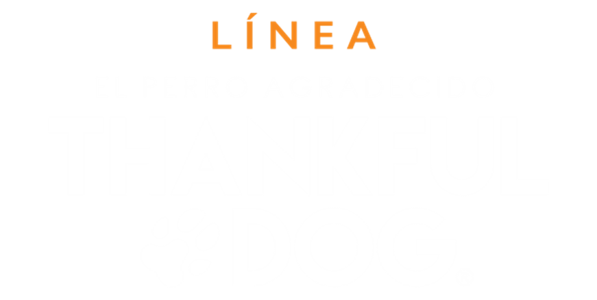 Thankful Dogs