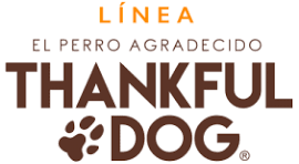 Thankful Dogs
