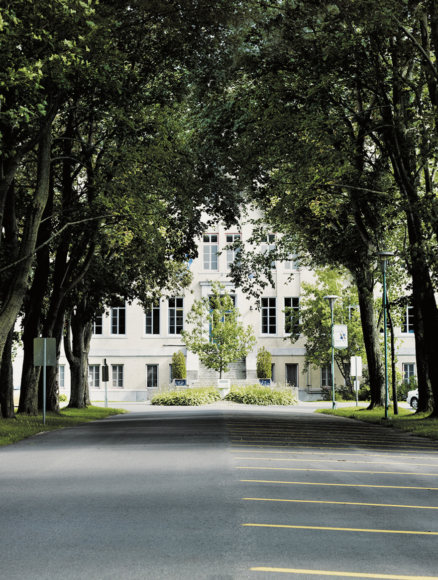Tree-lined road leading to the entrance of a large building with multiple windows.