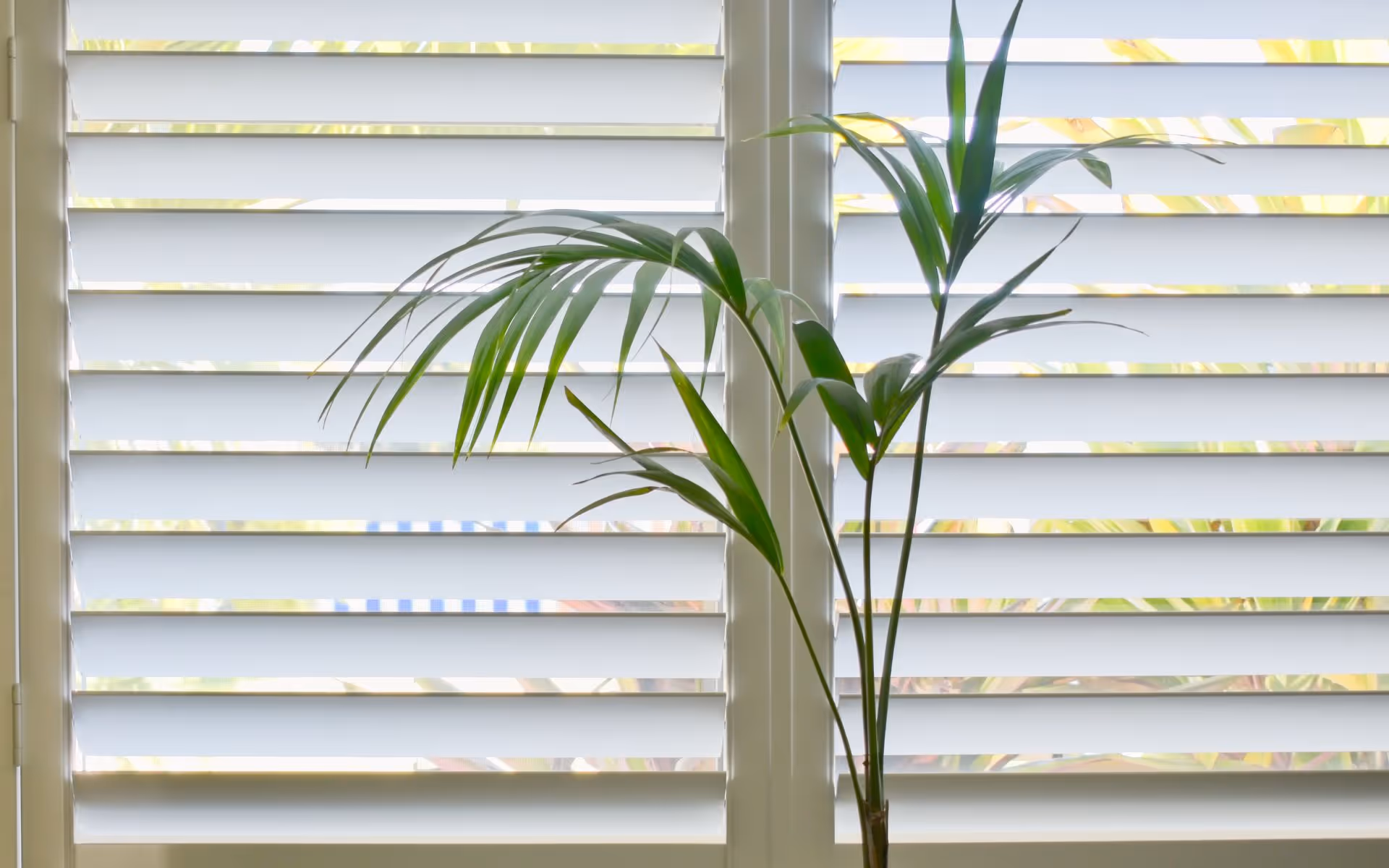 [digital project] image of a showcased project (for a ai robotics and automation)