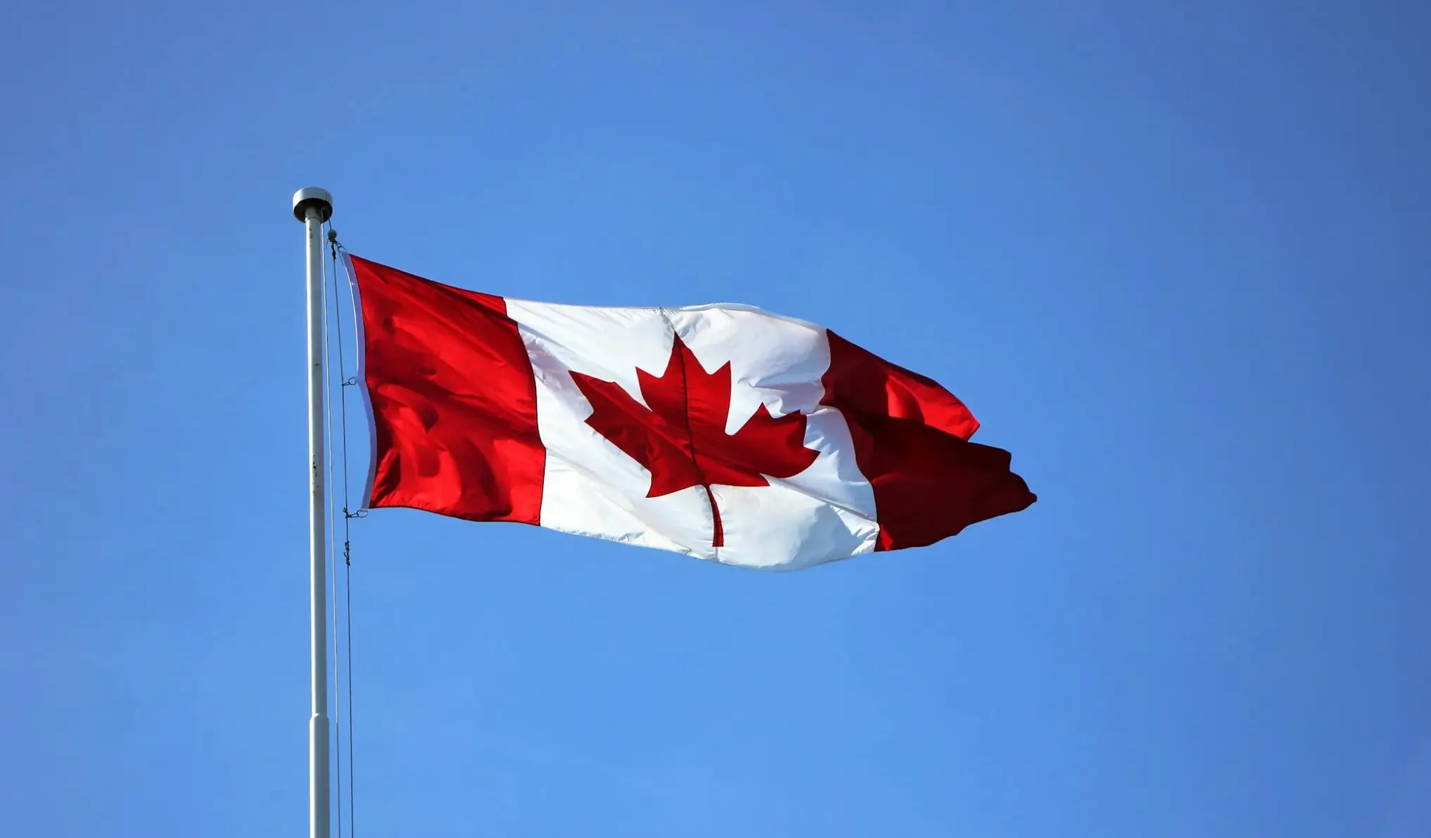 Windblown Canadian flag