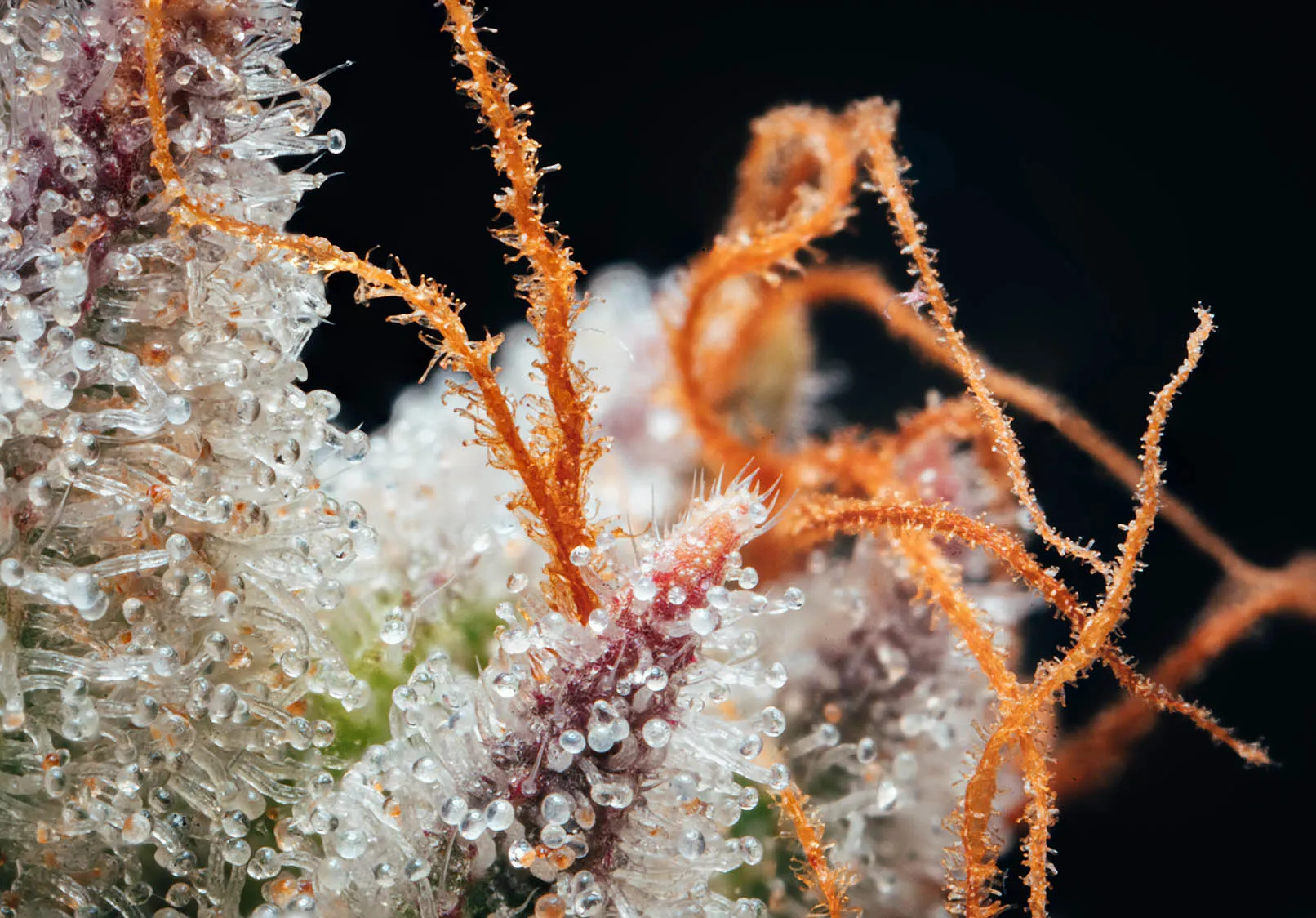 image of school facility