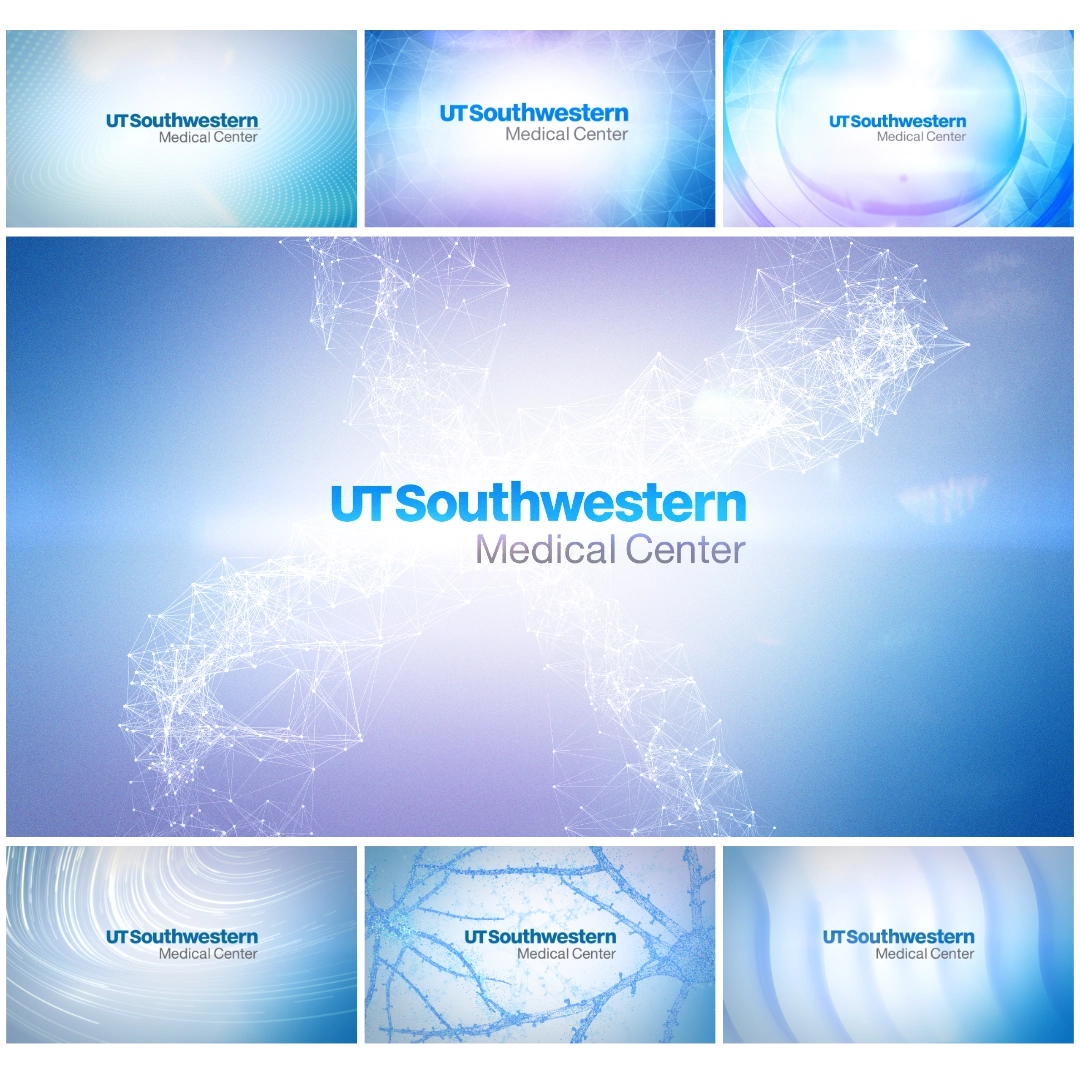 Motion Bodega - UT Southwestern Medical Center - Initial Looks (Light)