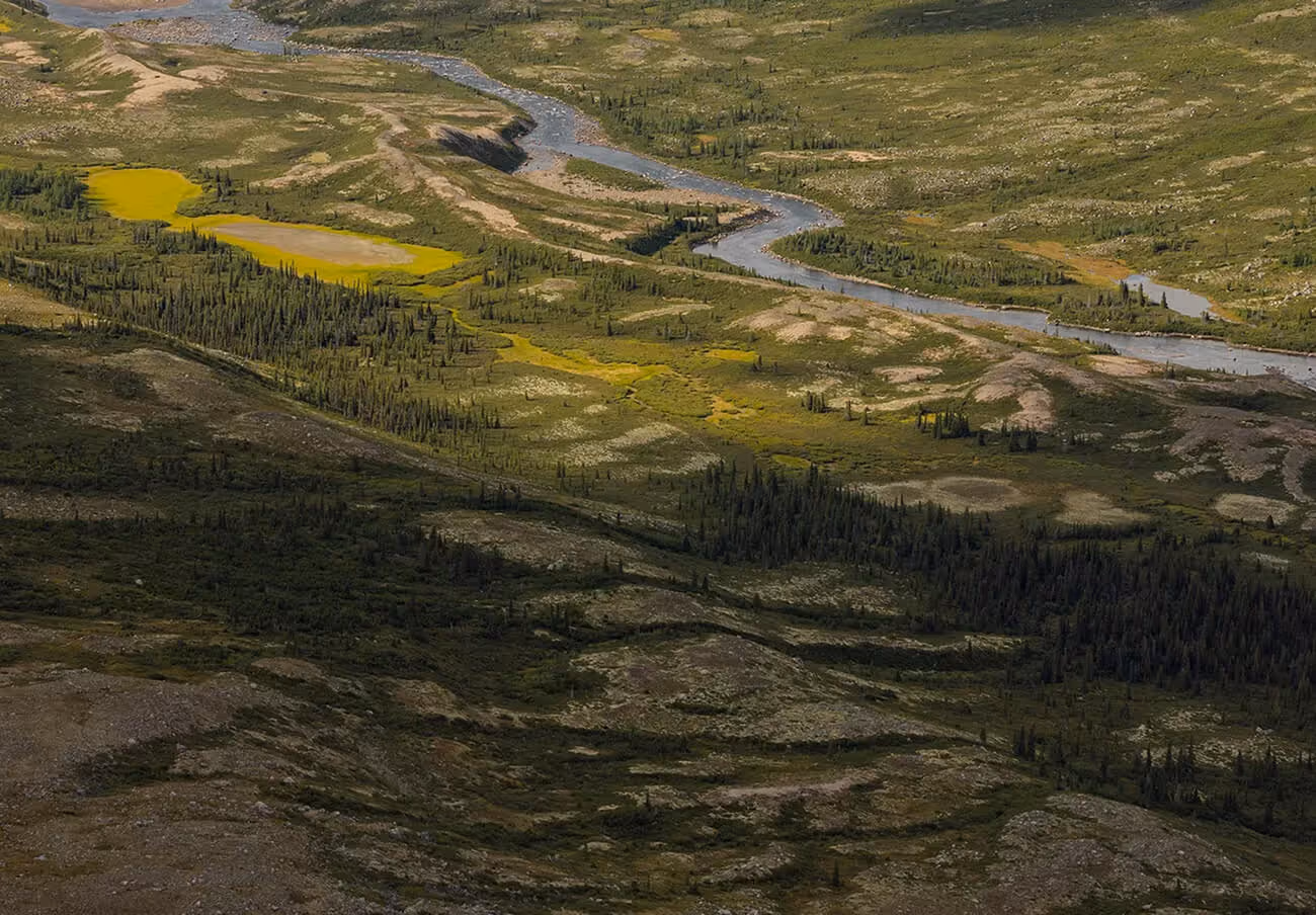 A winding river flowing through a green and rocky valley with patches of trees and moss.