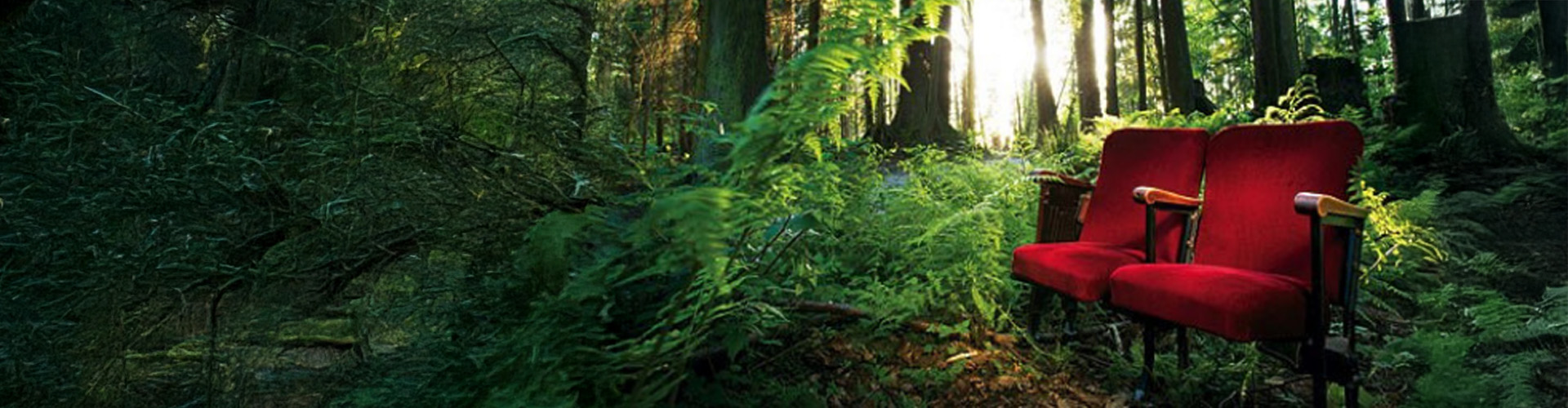 Two red theater seats placed amid green forest under sunlight filtering through tall trees.