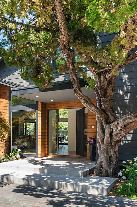 Modern home entrance with large metal pivot door, flat roof canopy, wooden siding, large windows, concrete steps, and a prominent tree in the foreground.