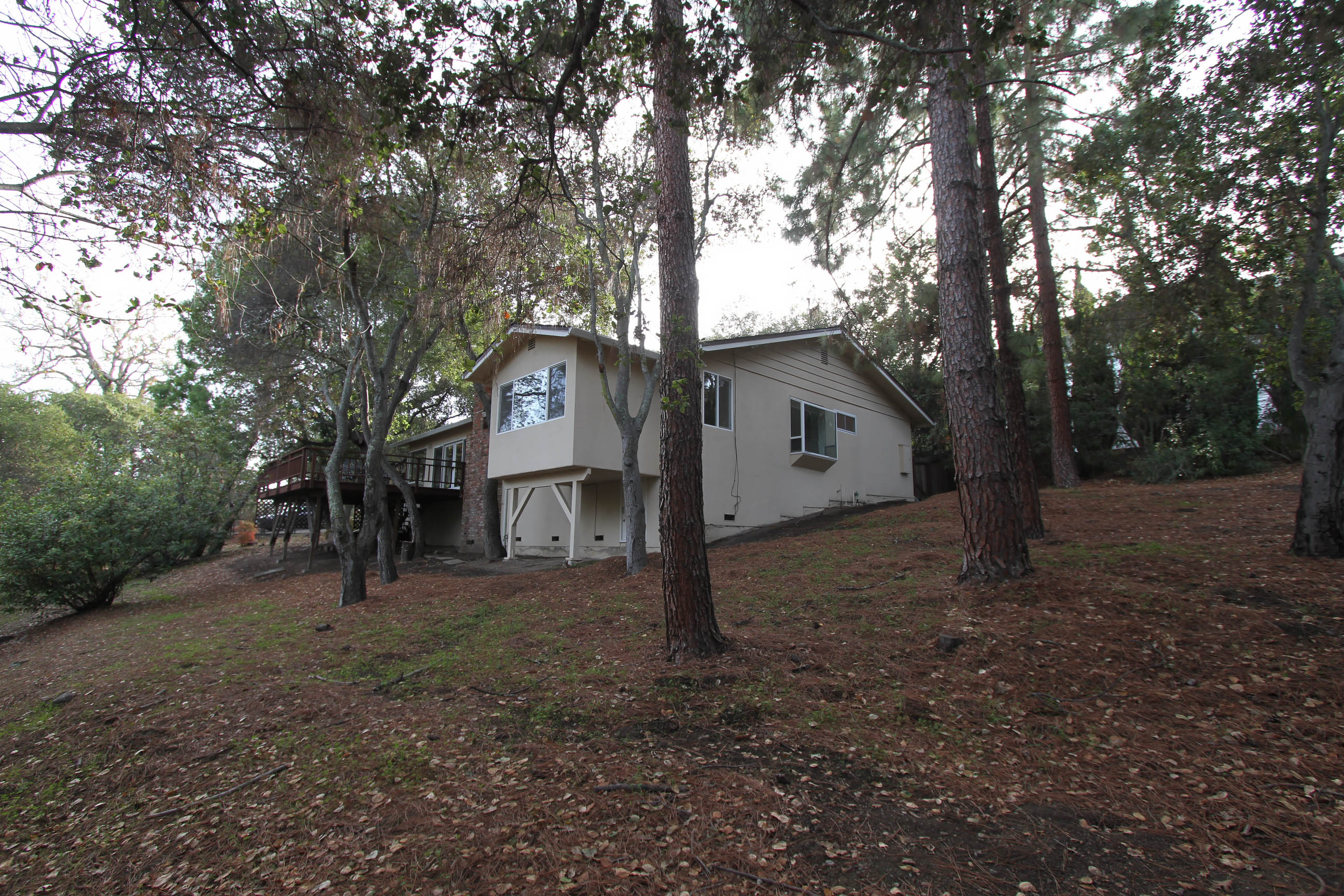 Original single-story house with a raised deck surrounded by tall pine trees on a sloped yard covered with dry pine needles and leaves.