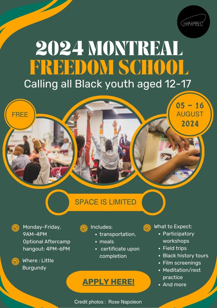 This image has an empty alt attribute; its file name is Affiche-MFS-2024-724x1024.jpg