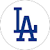 Dodgertown Villas — Home Point Appraisal client review
