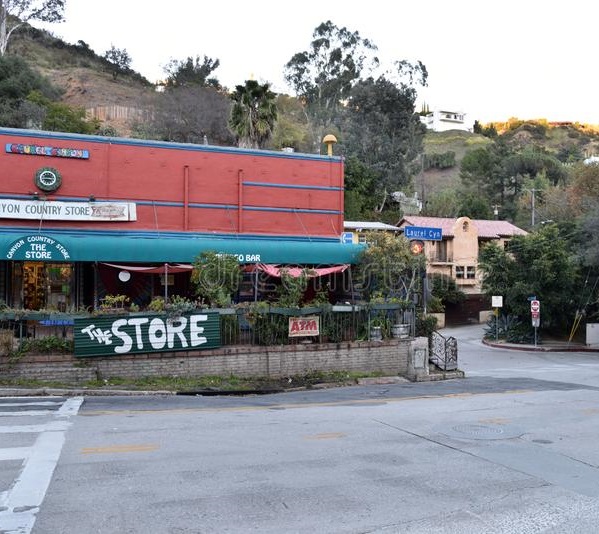 Laurel Canyon real estate appraisal services — Home Point Appraisal, Los Angeles
