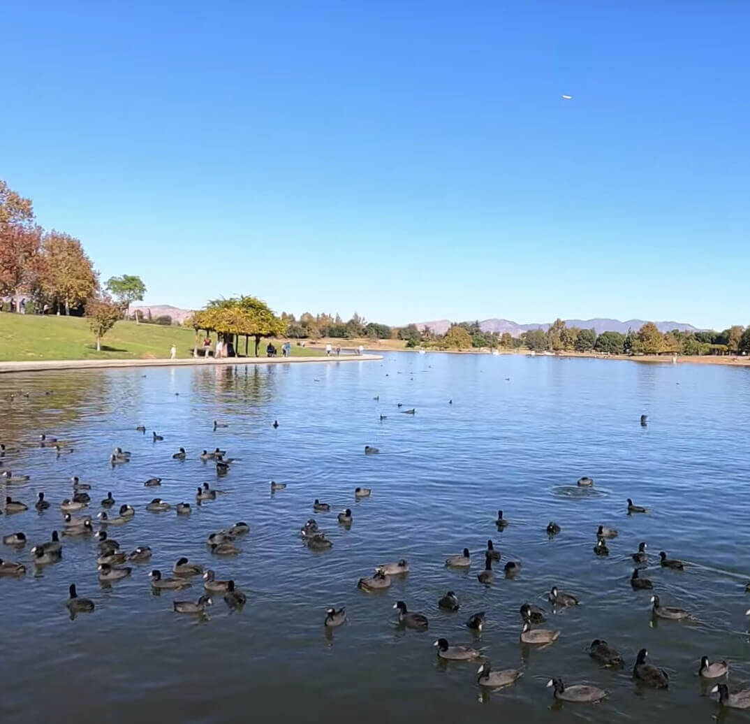 Lake Balboa real estate appraisal services — Home Point Appraisal, Los Angeles