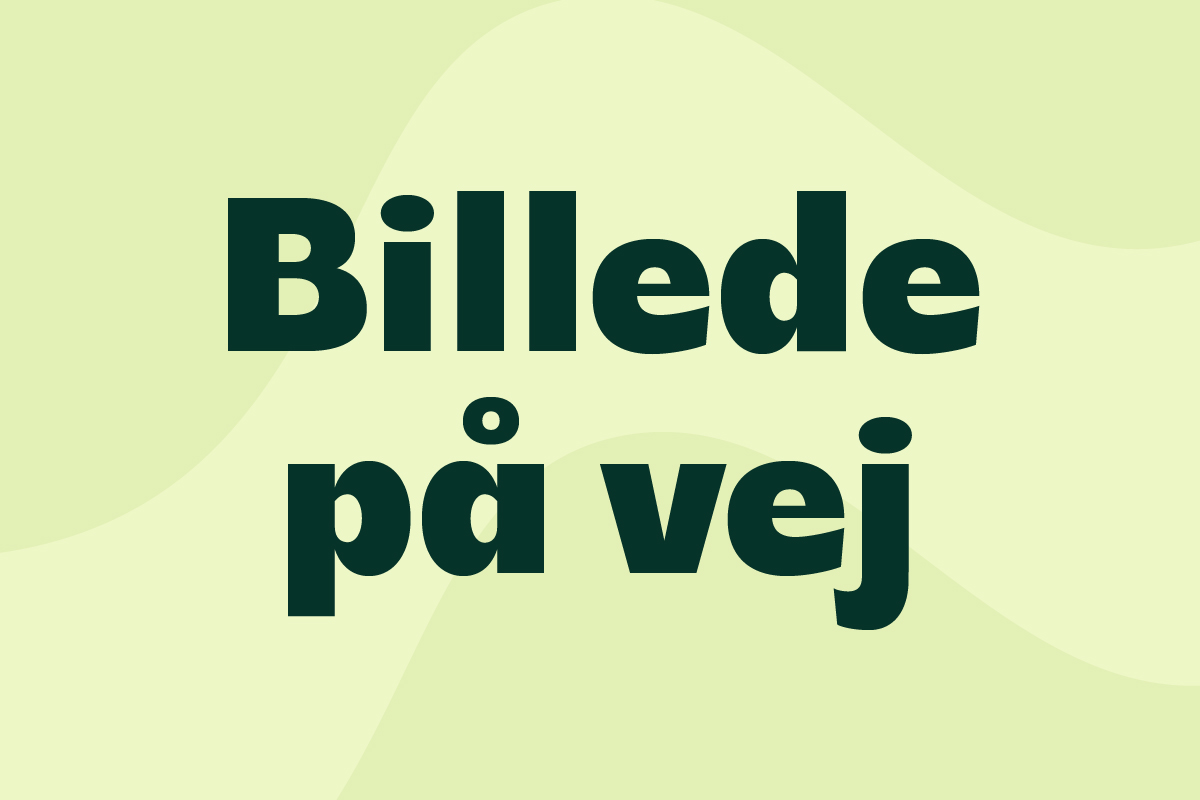Placeholder for billede af person i frivilliggruppen på Fjordlys Festival. Indeholder teksten "billede på vej".