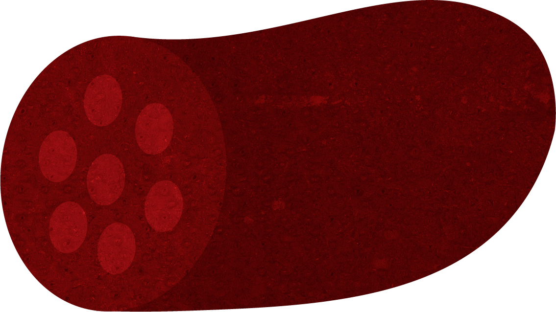 Rødt grafisk billede af en pølse med syv ovaler i den ene ende.