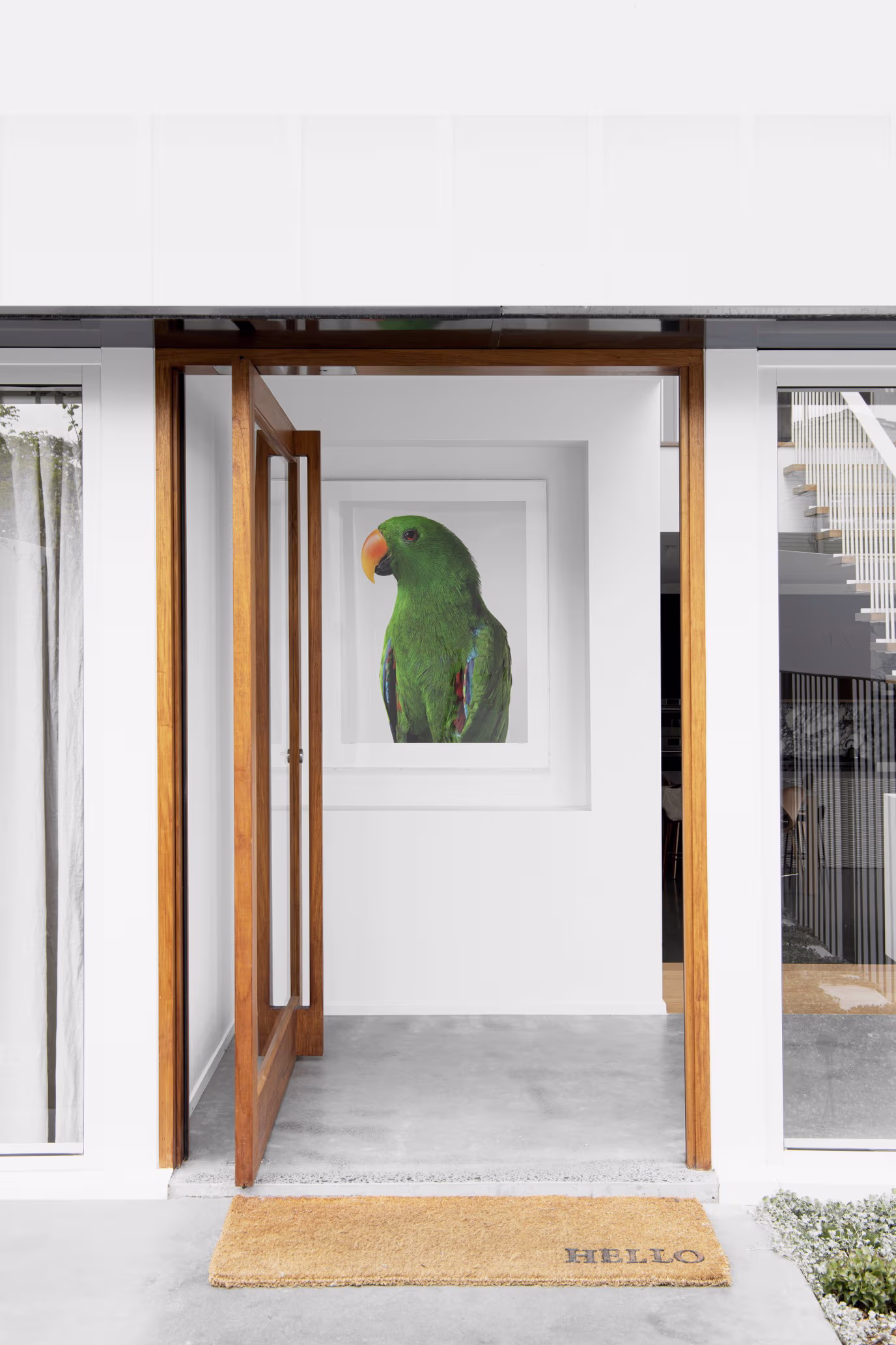 Modern house entrance with wooden framed glass door, a 'HELLO' doormat, and a large framed picture of a green parrot on a white wall inside.