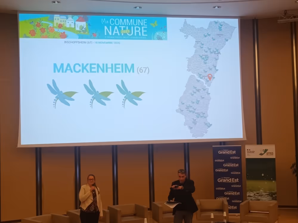 Cérémonie de présentation de 3 libellules - Commune Nature