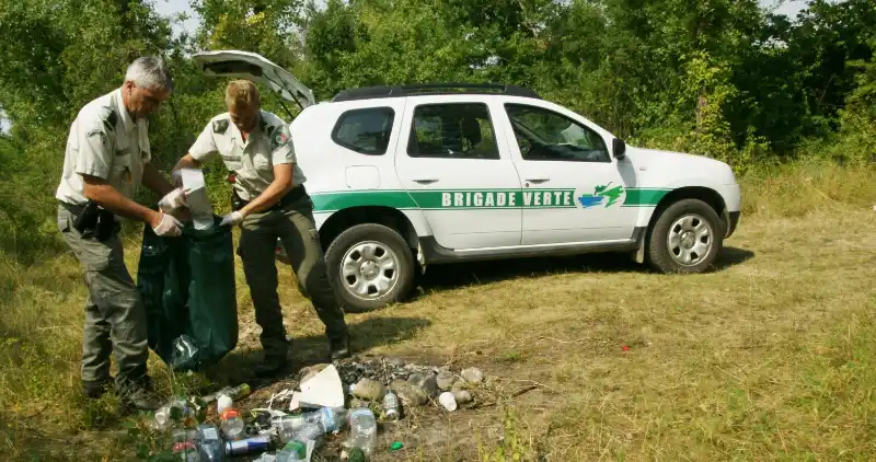 brigade verte dans la forêt
