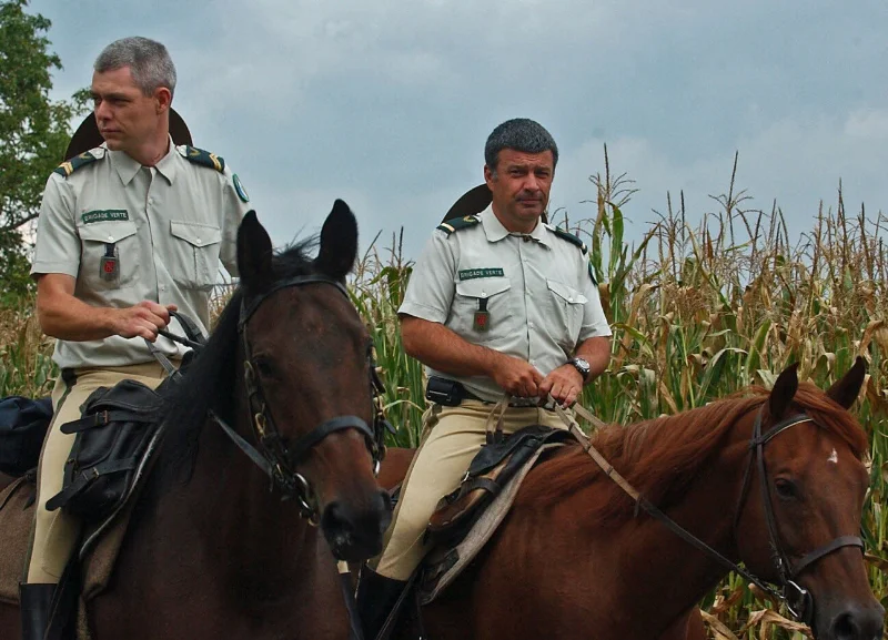 responsables des la brigade vertes dans la forêt