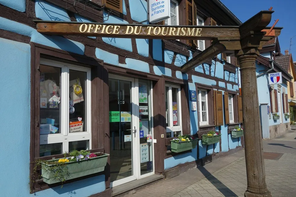 responsables des la brigade vertes dans la forêt