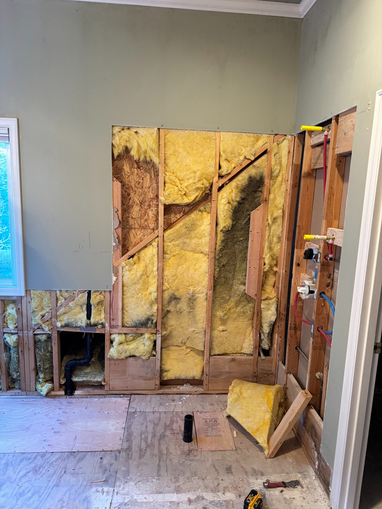 Custom Master Bathroom Enhancement in Harbor Pointe In Process