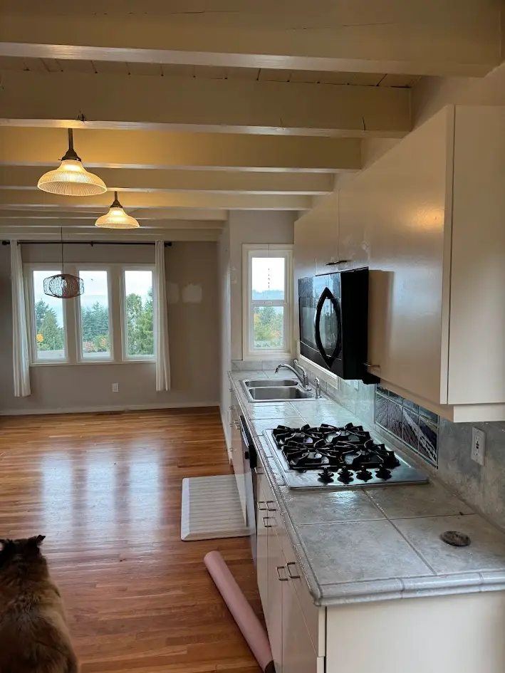 Kitchen and Living Area Upgrade in Mukilteo Before