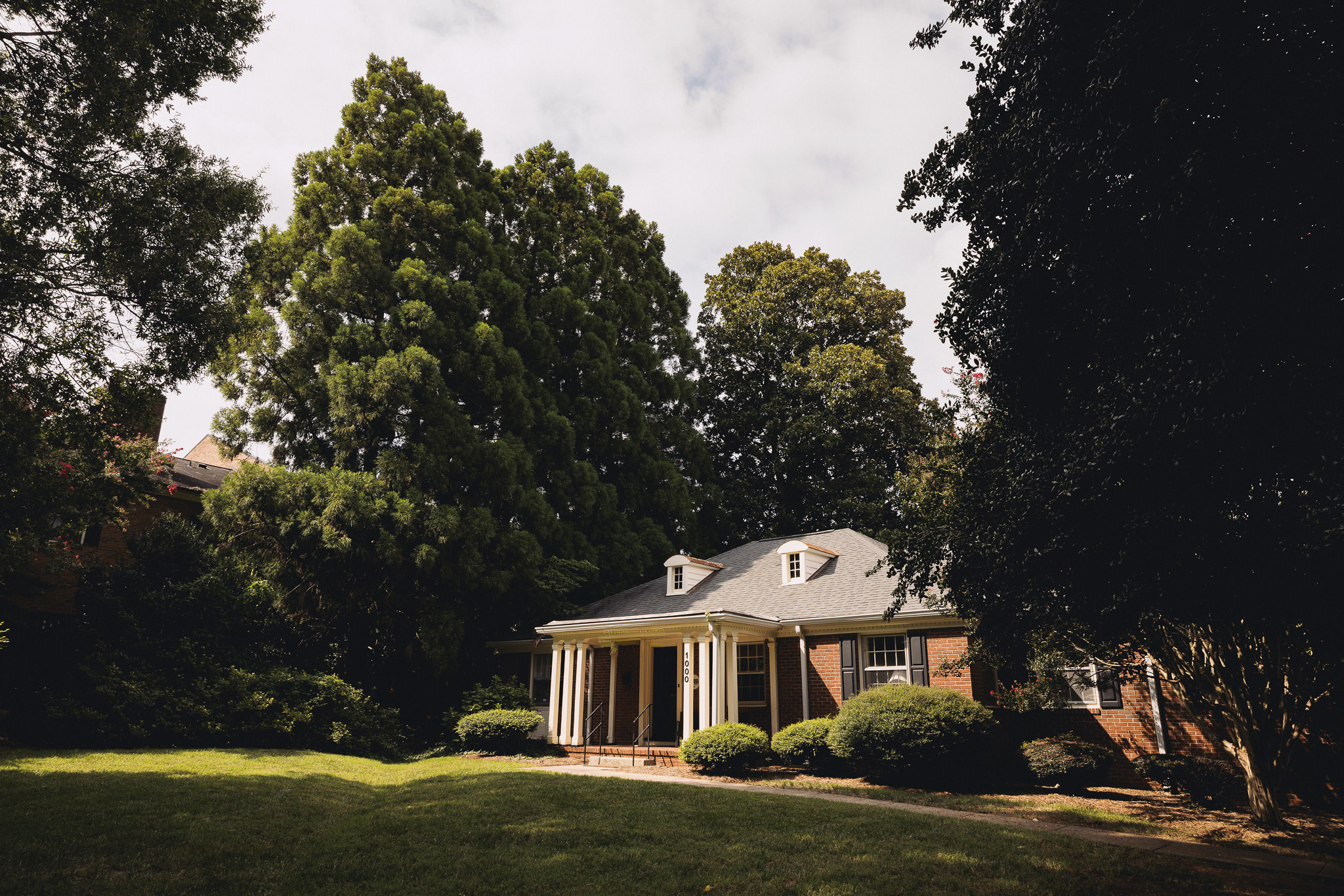 One-story brick house with white columns and dormer windows surrounded by tall trees and bushes.