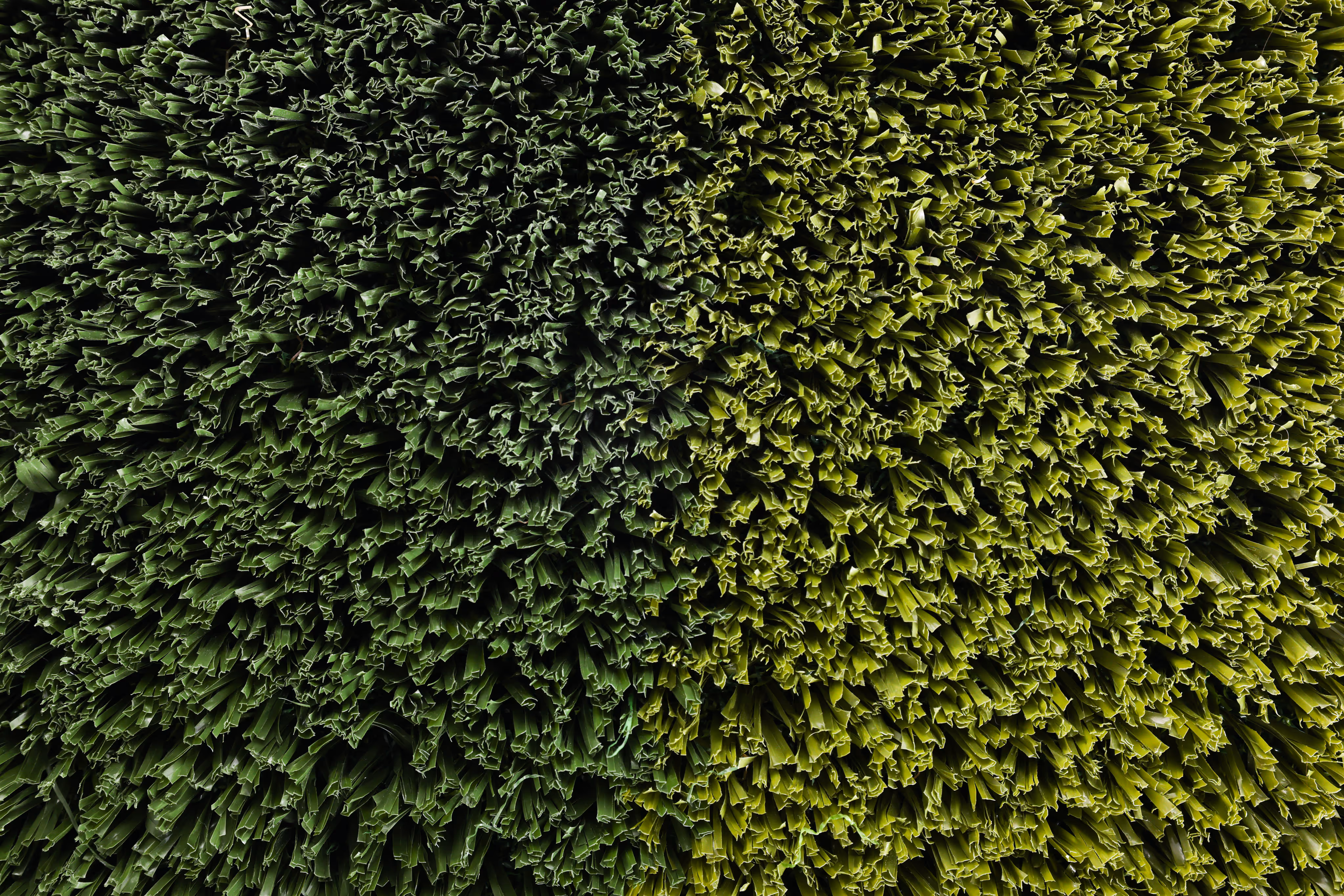 Close-up aerial view of densely packed green grass blades with a gradient from dark to light green.