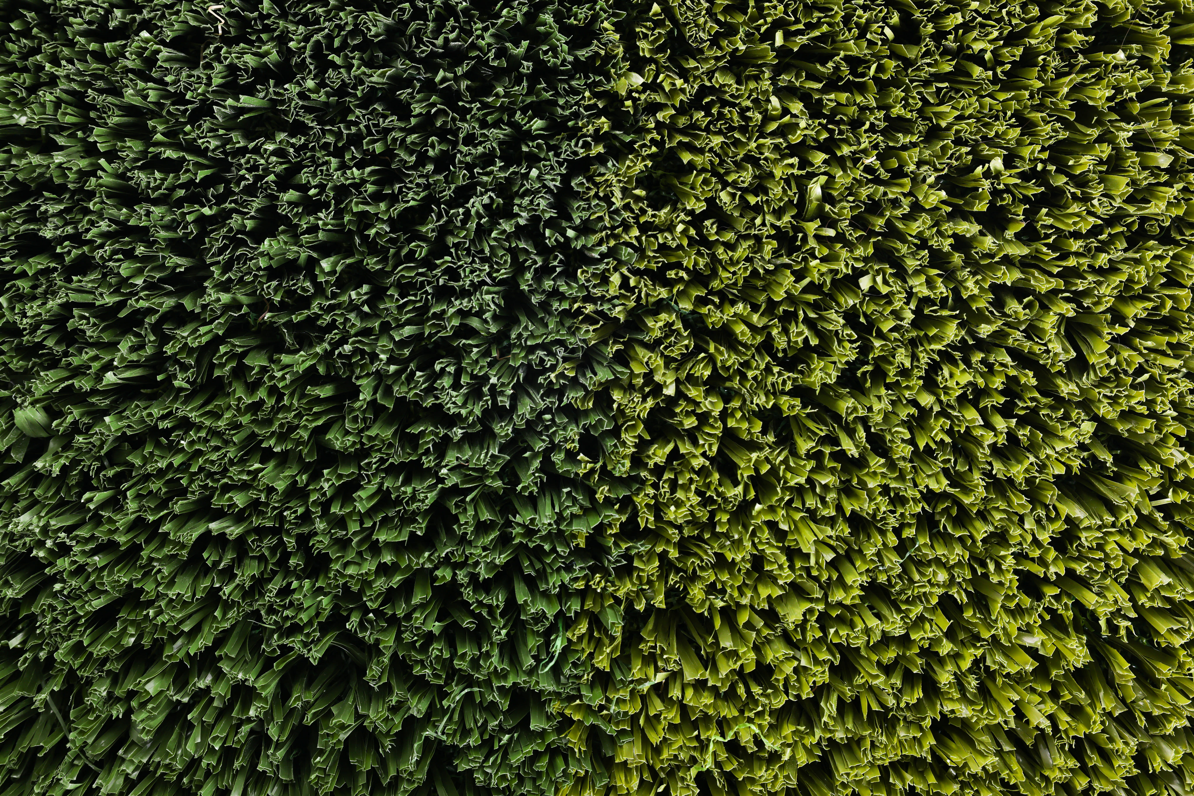 Close-up aerial view of densely packed green grass blades with a gradient from dark to light green.