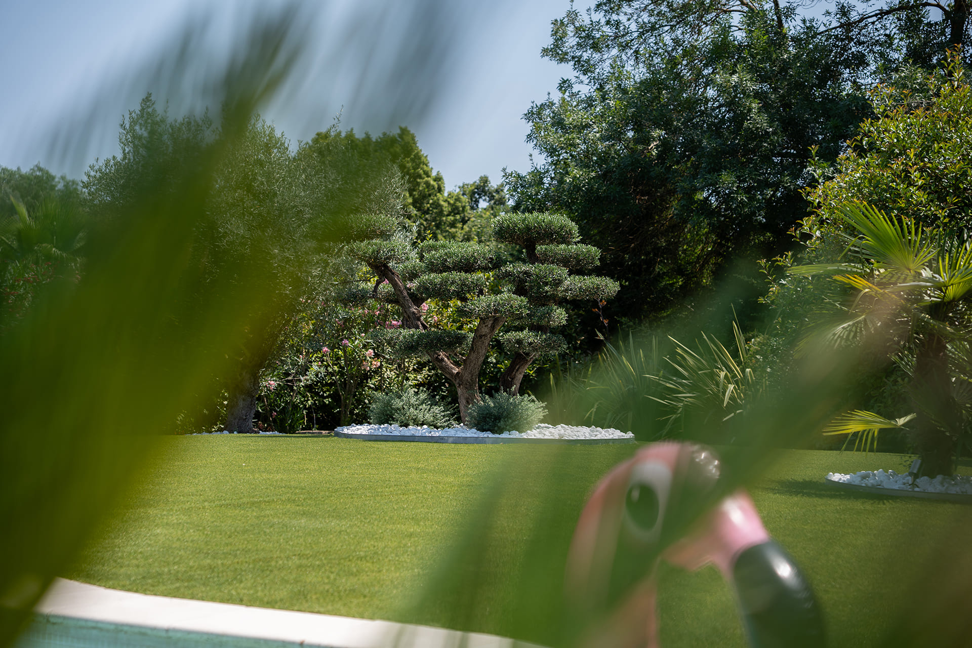 Well-maintained green garden with shaped topiary trees, white stones, and partially visible pink flamingo lawn ornament.
