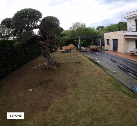 Outdoor garden with pruned tree, patchy grass, hedge on left, and patio area with furniture and a pergola near a modern house.